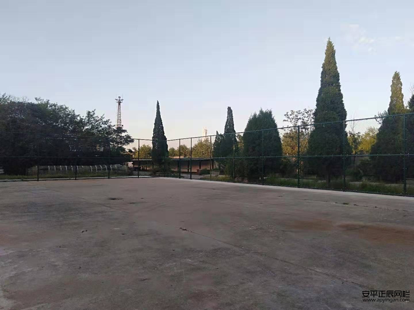 球場圍網廠家