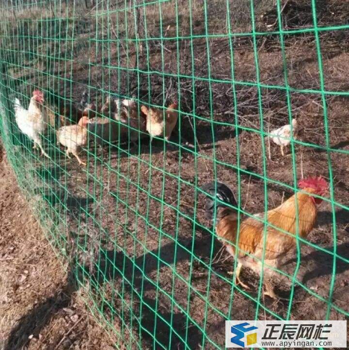 圈地護欄網